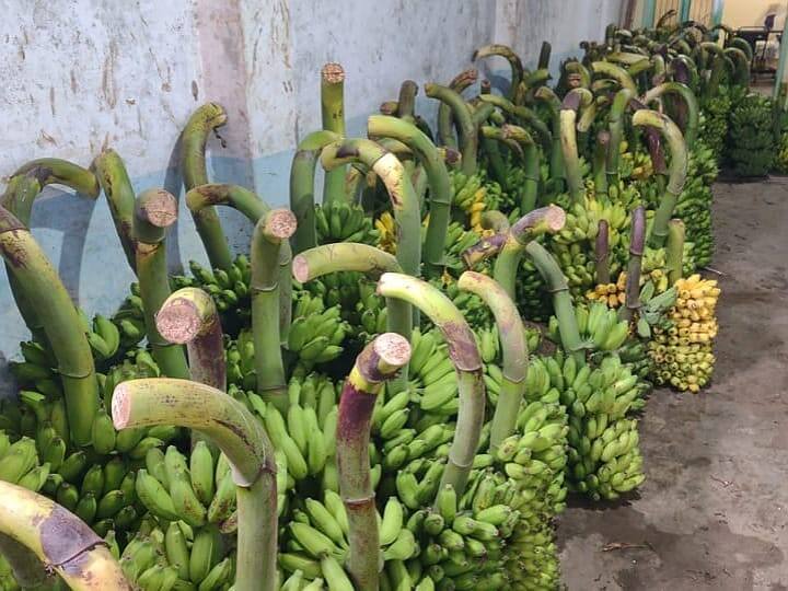 பொங்கலை முன்னிட்டு கரூரில் பூக்கள், வாழைத்தார் விலை கிடு கிடுவென உயர்வு