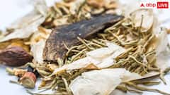 कैंसर जैसी गंभीर बीमारी से आपको दूर रखेगी ये 5 आयुर्वेदिक जड़ी-बूटियां, जानें कैसे?