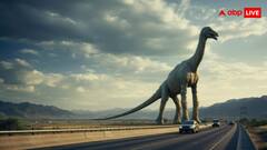 ब्रिटेन में मिला 200 पैरों के निशान वाला 'डायनासोर हाईवे', तस्वीरें देखकर नहीं आएगा यकीन