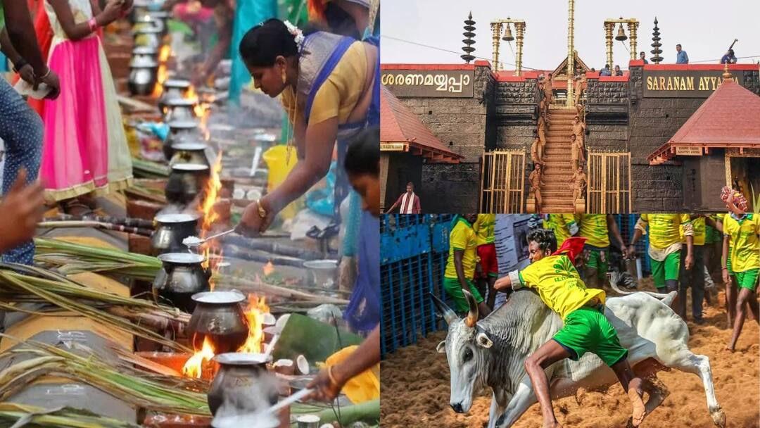 Pongal 2025: ஒரே குஷி.. ஊரே பிசி! நாளைக்கு மட்டும் இத்தனை விசேஷமா? Vibeதான்!