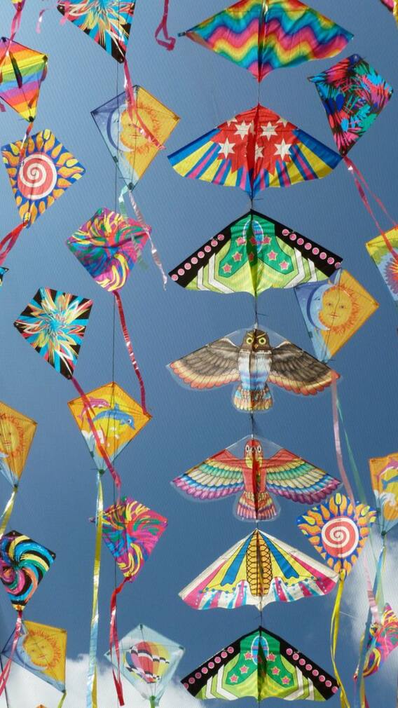 Makar Sankranti 2025: 9 Best Kite Flying Tips And Tricks For Beginners