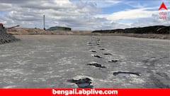 Viral News: গোটা সড়ক জুড়ে ডাইনোসরের পায়ের ছাপ ! হাড় হিম করা ছবি প্রকাশ্যে, কী খুঁজে পেলেন গবেষকরা ?