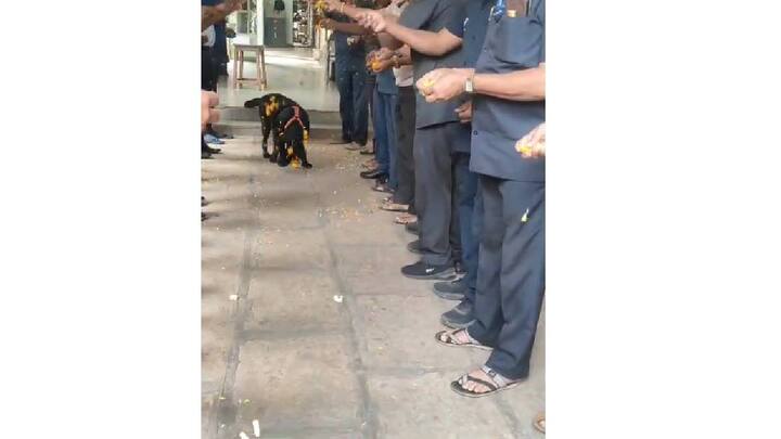 गेल्या 10 वर्षांपासूनचा सोबती तेजा आज निरोप घेत असल्याने अधिकारी व कर्मचारीही भावूक झाल्याचं पाहायला मिळालं, त्यांनी फुले उधळून, केक कापून त्याला निरोप दिला