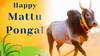 Happy Mattu Pongal 2025 Wishes: அன்பானவர்களுக்கும், உறவுகளுக்கும், நண்பர்களுக்கும் மாட்டு பொங்கல் வாழ்த்து அனுப்புங்க! 