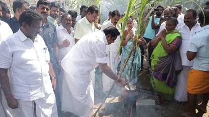 EPS says When we celebrate pongal in 2026, we will root out the evil DMK tnn 2026 தை திருநாளை கொண்டாடும்போது தீய சக்தி திமுகவை வேரோடு வீட்டிற்கு அனுப்புவோம் - இபிஎஸ் சூளுரை