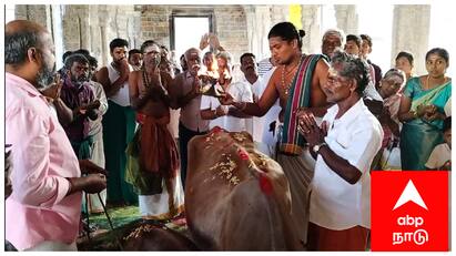 Mayiladuthurai sirkali sattainathar Temple thai month special worship tnn சீர்காழி சட்டைநாதர் கோயிலில் தை மாத பிறப்பை அடுத்து கோ பூஜை செய்த பக்தர்கள்
