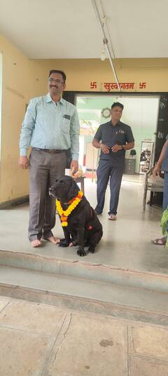 केक कापला, फुले उधळली; पुण्याच्या बॉम्बस्कॉड पथकातील 'तेजा'ला निरोप, अधिकारी भावूक