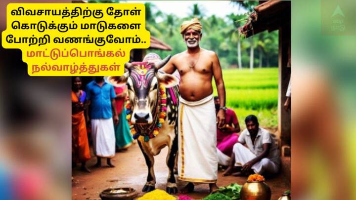 விவசாயிகளுக்கு தோழனாக இருக்கும், மாட்டுக்கு நன்றி தெரிவிக்கும், மாட்டுப் பொங்கலை கொண்டாடுவோம். 