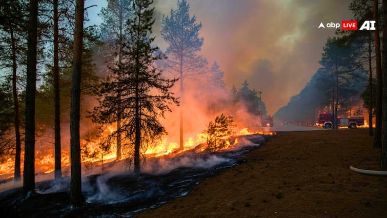 How to extinguish uncontrolled forest fire know why it takes time कैसे बुझाई जाती है जंगलों में बेकाबू हो रही आग, जानें क्यों लगता है इसमें वक्त