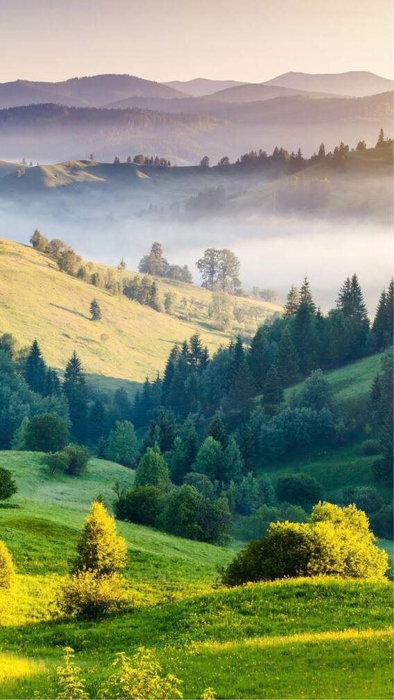 8 Celebrity-Approved South Indian Travel Destinations You Should Visit