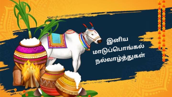 அனைவருக்கும் மாட்டுப் பொங்கல் நல்வாழ்த்துகள்
