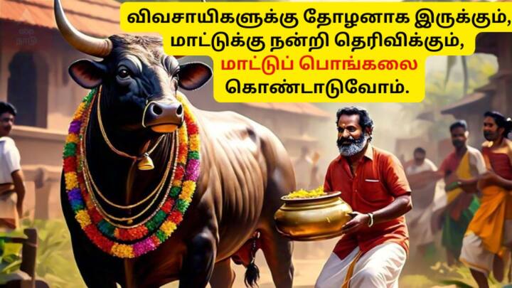 அனைத்து உறவுகளுக்கும் மாட்டுப் பொங்கல் நல்வாழ்த்துகள்