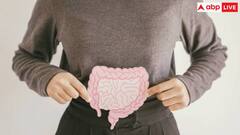 फाइबर से भरपूर डाइट लेने से पेट में होने वाले इंफेक्शन का खतरा होता है कम, रिसर्च में हुआ खुलासा