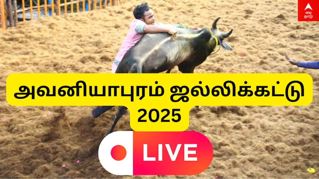 Avaniyapuram Jallikattu 2025 LIVE: சீறும் காளைகள்... அடக்கும் காளையர்கள்! அவனியாபுரம் ஜல்லிக்கட்டு.. நேரலை! Avaniyapuram Jallikattu 2025 LIVE Video Watch Jallikattu Event Today Avaniyapuram Jallikattu 2025 LIVE: சீறும் காளைகள்... அடக்கும் காளையர்கள்! அவனியாபுரம் ஜல்லிக்கட்டு.. நேரலை!