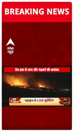 America Fire: Strong Winds Hamper Rescue Efforts Amidst Wildfires | ABP News