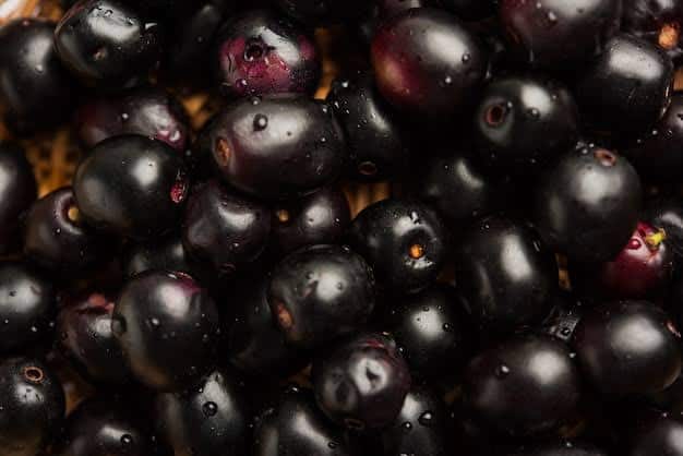 मानसून में आने वाला काला जामुन विटामिन सी से भरपूर होता है, 100 ग्राम जामुन में 80 से 90MG तक विटामिन सी पाया जाता है, जो हमारी ओवरऑल हेल्थ के लिए बहुत फायदेमंद है.