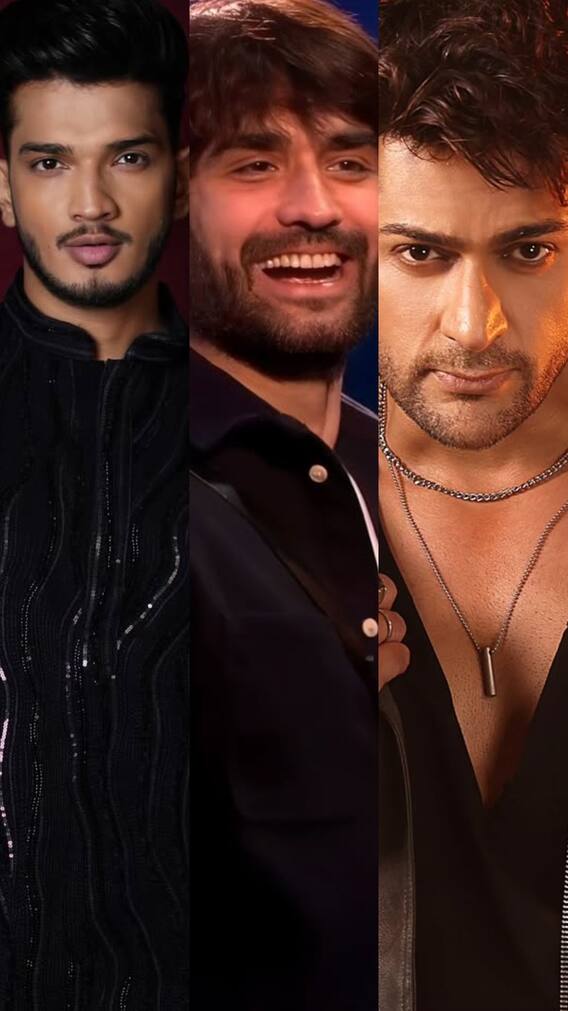 इन स्टार्स ने विवियन डीसेना को 'बिग बॉस' विनर बनाने के लिए झौंकी पूरी ताकत