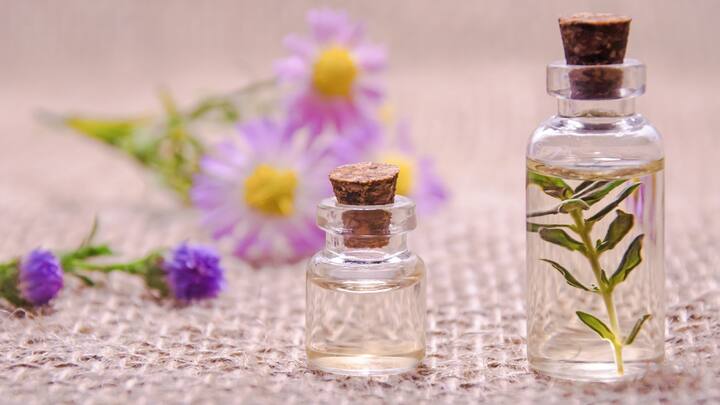 Carry Calm Wherever You Go: Stress doesn’t wait for the “right time” to hit — it sneaks up when you least expect it. Soothing oils like lavender, patchouli, and ylang-ylang are perfect companions. A quick application on your pulse points or a deep inhale can bring a sense of calm amidst the chaos, whether you’re stuck in trac or juggling back-to-back meetings. With aromatherapy, you can take a moment to breathe, relax, and recharge, no matter where you are. (Image Source: Canva)