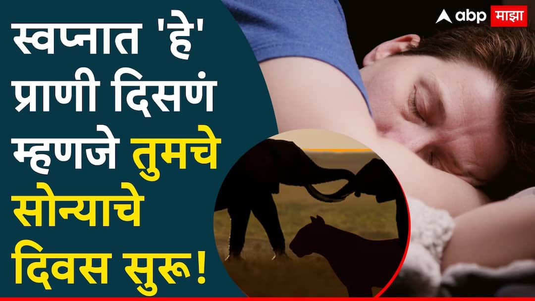 Swapna Shastra Says seeing animal in dreams is sign of good luck people get rich and prosperity comes in life Astrology : स्वप्नात 'हे' प्राणी दिसणं म्हणजे सुखाची चाहूल; असे लोक असतात खूप भाग्यवान, रातोरात येते श्रीमंती