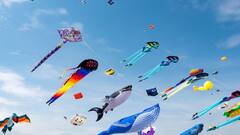 पतंग के मांझे से कट सकती है आपकी गर्दन, बाइक चलाते हुए इन बातों का रखें खयाल