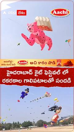 హైదరాబాద్ కైట్ ఫెస్టివల్ లో రకరకాల కైట్స్