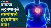 Obesity Effects : वाढत्या लठ्ठपणामुळे भारतातील तरुणांमध्ये हृदयरोगात वाढ?  डॉक्टरांनी सांगितली लठ्ठपणाची A टू Z कारणं आणि उपाय