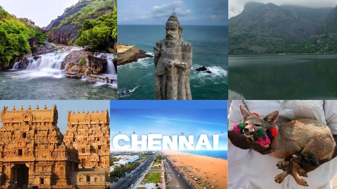 Kaanum Pongal 2025: கம்மி செலவு, மனசு நிறைவு.. காணும் பொங்கல், குடும்பத்துடன் செல்ல ஏற்ற இடங்கள்.. தமிழ்நாட்டில் இவ்வளவு ஆப்ஷனா?