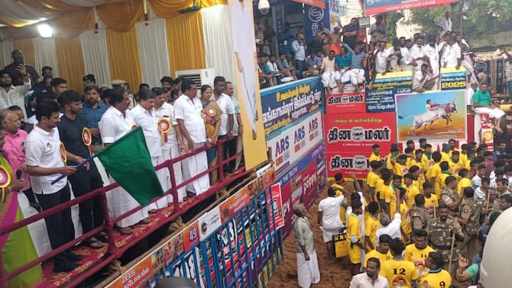 துணை முதல்வர் உதயநிதி ஸ்டாலின் கொடியசைத்து ஜல்லிக்கட்டு போட்டியை தொடங்கி வைத்தார்