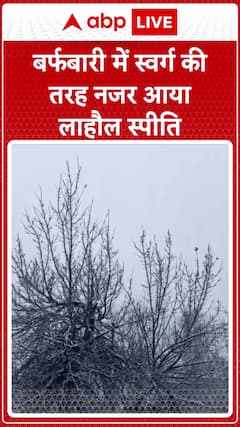 Lahaul Spiti Transforms into a Winter Paradise After Fresh Snowfall