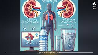 ਪਾਣੀ ਪੀਣ ਨਾਲ ਜੁੜੀਆਂ ਇਹ 3 ਆਦਤਾਂ ਕਰ ਦੇਣਗੀਆਂ ਕਿਡਨੀ ਖਰਾਬ, ਜ਼ਿਆਦਾਤਰ ਲੋਕ ਕਰ ਰਹੇ ਇਹ ਗਲਤੀਆਂ