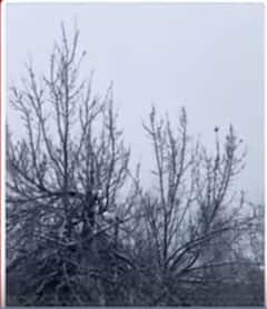 बर्फबारी में स्वर्ग की तरह नजर आया लाहौल स्पीति | ABP NEWS SHORTS