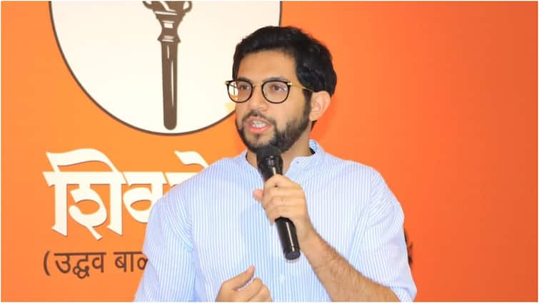 Aaditya Thackeray Meets Rahul Amid Uddhav Sena Anger Over Pawar-Shinde Bonhomie