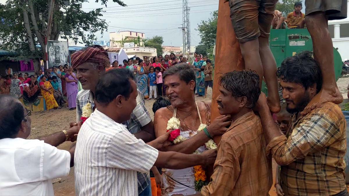 மருமகனா வரனும்னா வழுக்கு மரம் ஏறனும்..  மாமன்மார்கள் நடத்திய போட்டி - எங்கு தெரியுமா?