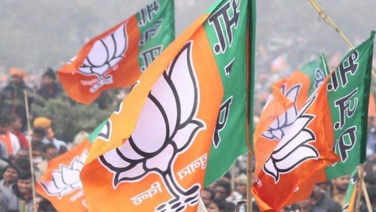 Coordination meeting of RSS and BJP in Noida today, know which issues can be discussed यूपी बीजेपी अध्यक्ष के नाम पर ऐलान से पहले RSS संग बैठक, पूर्वांचल और पश्चिम के नेता होंगे शामिल