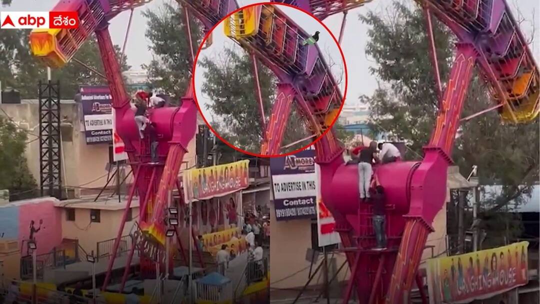 Numaish Exhibition 2025 Passengers stuck upside down in amusement ride at Numaish in Hyderabad Numaish Exhibition 2025: నాంపల్లి ఎగ్జిబిషన్‌లో తప్పిన పెను ప్రమాదం, సందర్శకులకు అర గంట భయానక అనుభవం
