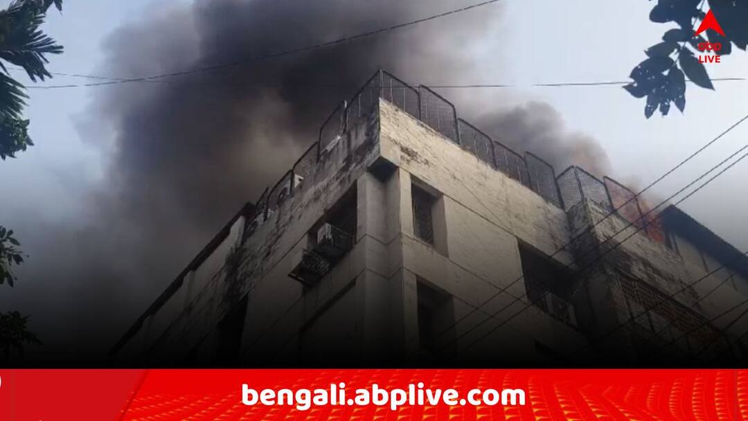 Kolkata News Fire breaks out at 9 No Hunger street Building near Belview Nursing home Kolkata Fire Incident: কলকাতার আবাসনে দাউদাউ আগুন ! কাছেই স্কুল-হাসপাতাল, ঘটনাস্থলে দমকলের ৮টি ইঞ্জিন..