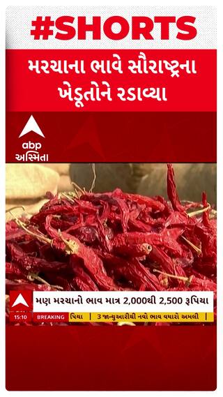 Saurashtra Farmer : ડુંગળી બાદ હવે મરચાના ભાવે સૌરાષ્ટ્રના ખેડૂતોને રડાવ્યા