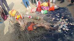 Maha Kumbh 2025 Pics: 34 सालों से कांटों पर लेटकर साधना कर रहे हैं बाबा, पूरा करने चाहते हैं ये खास संकल्प