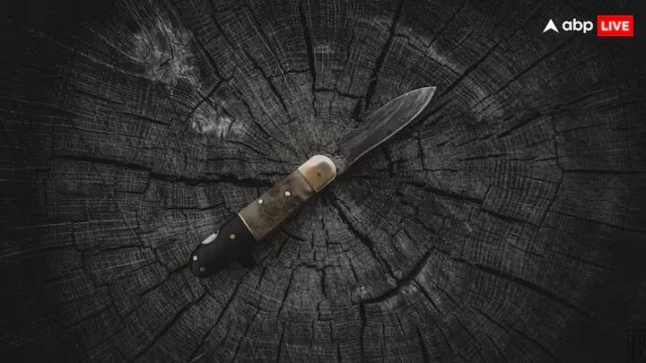 શાઇડલર દ્વારા બનાવેલા છરીની કિંમત ચાર હજાર યુરો છે. ભારતીય રૂપિયા પ્રમાણે તેની કિંમત 3 લાખ રૂપિયાથી વધુ છે. હકીકતમાં, તેની ધાર મિલીમીટરના એક હજારમા ભાગ જેટલી પાતળી છે. એટલું પાતળું કે તે માનવ વાળને પણ બે ભાગમાં ફાડી શકે છે.