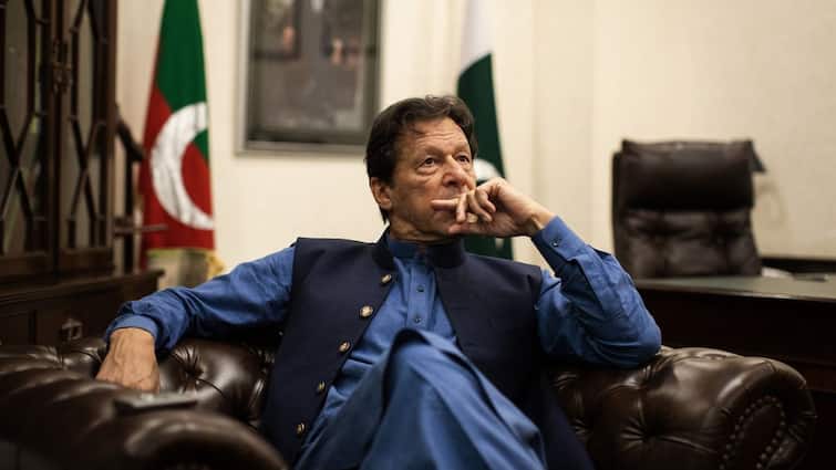 Pakistan’s Ruling PML-N Warns Imran Khan’s Sons Against Joining PTI’s August Protest