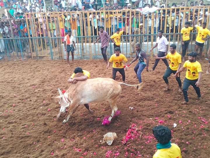 Jallikattu 2025: கரூர்  ஜல்லிக்கட்டு போட்டி; முதல் பரிசாக ஆல்டோ காரை வென்ற ஜித்தன் மாடு