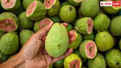 सुबह खाली पेट अमरूद खाना फायदेमंद है या नुकसानदायक, जानिए इसके बारे में सबकुछ