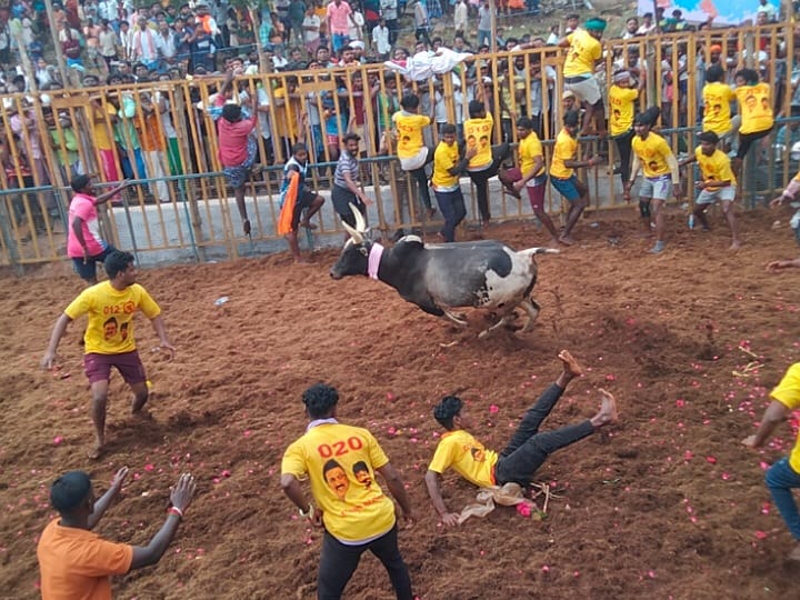 Jallikattu 2025: கரூர்  ஜல்லிக்கட்டு போட்டி; முதல் பரிசாக ஆல்டோ காரை வென்ற ஜித்தன் மாடு
