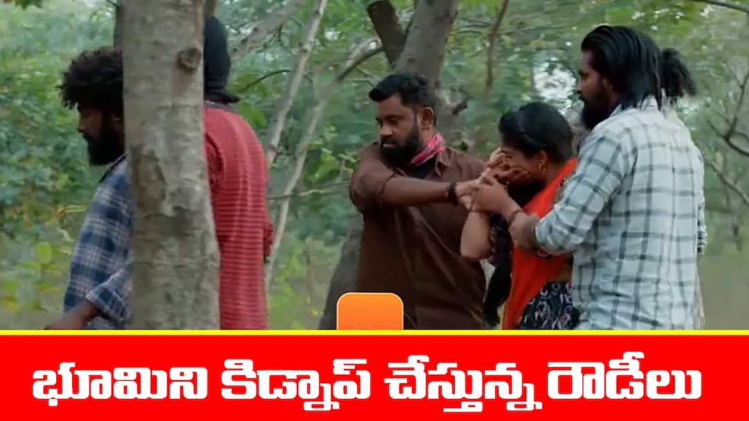 Meghasandesam serial today episode January 18th written update Meghasandesam Serial Today January 18th: ‘మేఘసందేశం’ సీరియల్‌:  భూమిని ఎత్తుకెళ్లిన రౌడీలు -  కారులో నిద్రపోతున్న గగన్‌