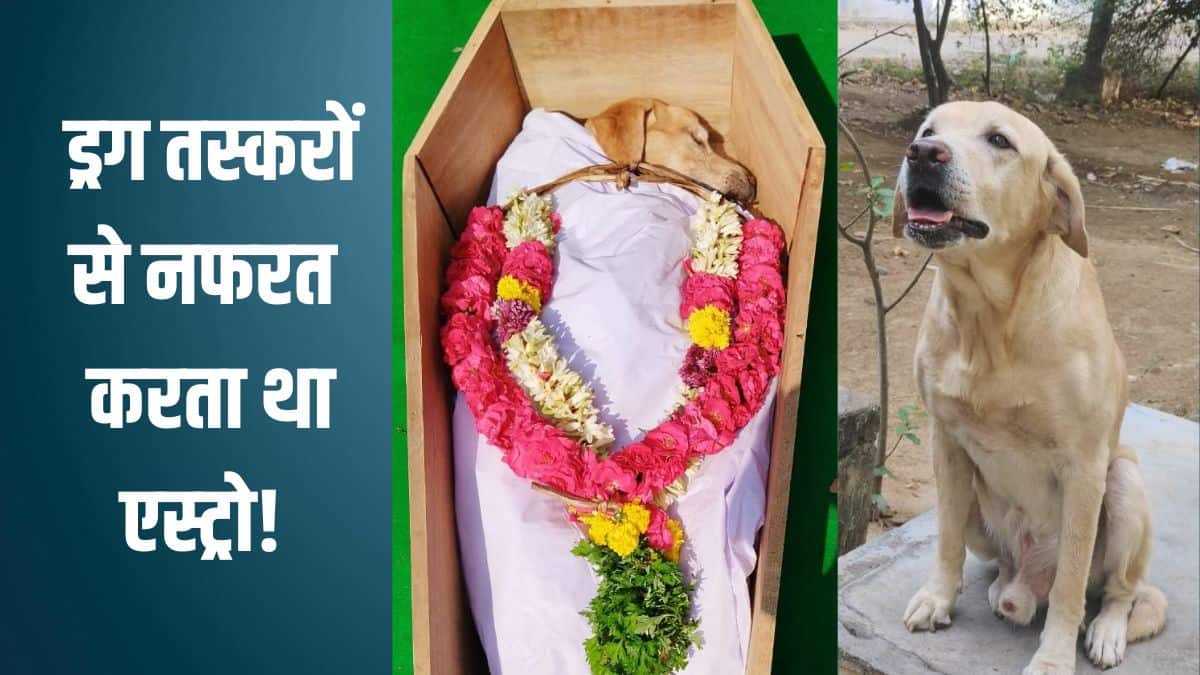 तमिलनाडु के इस 'DSP' से थर-थर कांपते थे ड्रग माफिया, दूर से ही सूंघ लेता था हर खतरा! पुलिस ने दी 21 तोपों की सलामी