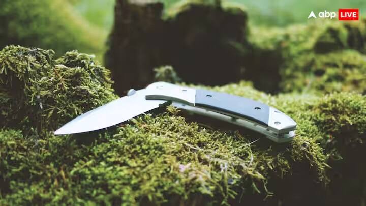 લાર્સ શાઇડલર સ્ટીલના સેંકડો સ્તરોમાંથી બનેલા દમાસ્કસ છરીઓ બનાવે છે. શાઇડલર અને તેમના સાથીઓ બહુવિધ સ્તરોથી બનેલી પ્લેટને 30 સેન્ટિમીટર સુધીની લંબાઈ સુધી સપાટ કરે છે. ત્યારબાદ તેઓ સ્ટીલના સ્તરોને એકબીજાની ઉપર સ્ટેક કરે છે, જ્યાં સુધી તેઓ 480 સ્તરો સુધી ન પહોંચે ત્યાં સુધી આ કરે છે.