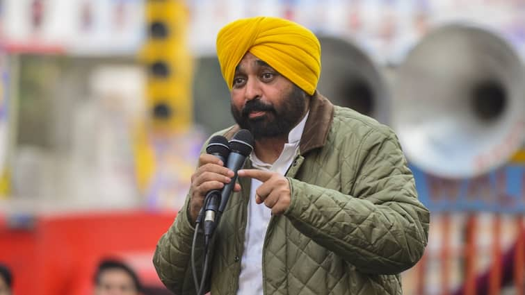 'Sending Out Citizens In Handcuffs, Shackles Shameful': Bhagwant Mann On Indians' Deportation