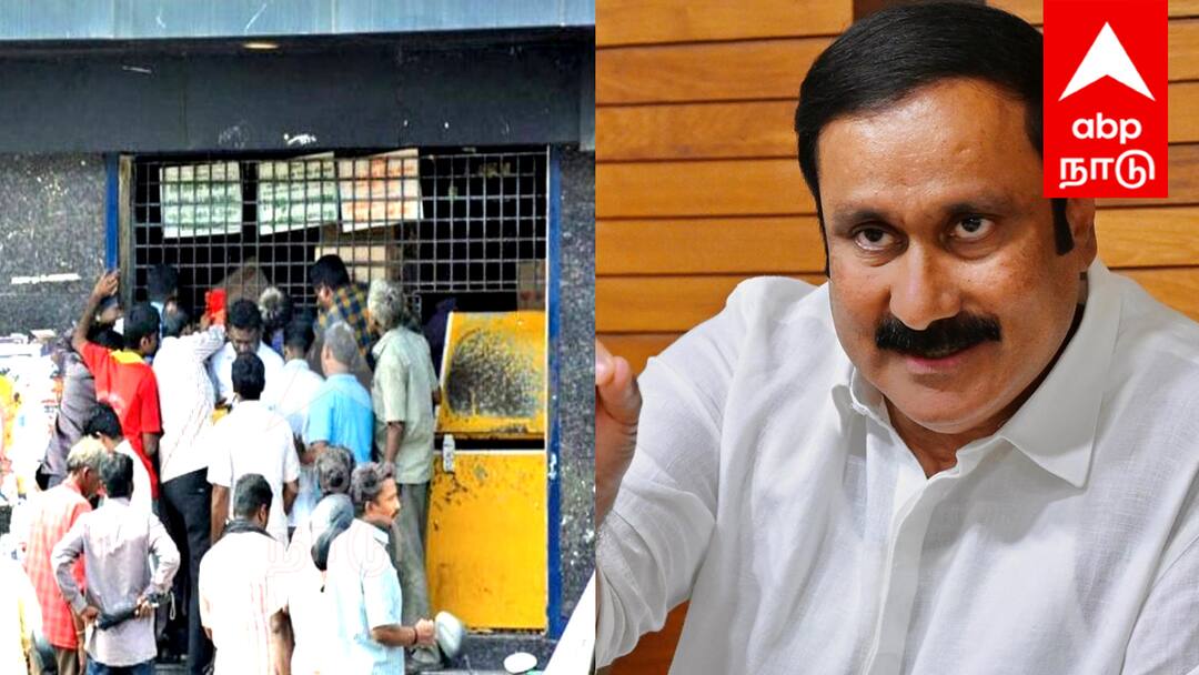 பொங்கல் பண்டிகைக்கு பல கோடிக்கு மது விற்பனை; புள்ளிவிவரத்தை எடுத்துவிட்ட அன்புமணி Liquor sales worth crores during Pongal festival Anbumani has collected statistics tnn பொங்கல் பண்டிகைக்கு பல கோடிக்கு மது விற்பனை; புள்ளிவிவரத்தை எடுத்துவிட்ட அன்புமணி