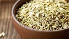 Fennel Seeds After Meal: ভারী খাবারের পর মুখে দিন সামান্য কাঁচা মৌরি, উপকার বুঝবেন কয়েক মিনিটেই