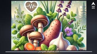 ਸਰਦੀਆਂ 'ਚ ਕੋਲੈਸਟ੍ਰੋਲ ਨੂੰ ਘੱਟ ਕਰਨ ਲਈ ਖਾਓ ਇਹ ਸਬਜ਼ੀਆਂ, ਡਾਇਟੀਸ਼ੀਅਨ ਨੇ ਦੱਸੇ ਫਾਇਦੇ